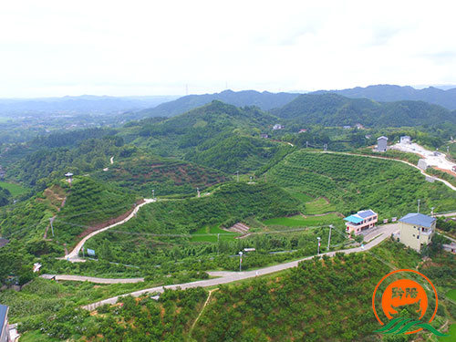 黔陽(yáng)瞐黔陽(yáng)黃桃產(chǎn)業(yè)園2 黔陽(yáng)瞐黔陽(yáng)黃桃產(chǎn)業(yè)園2